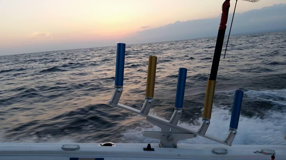 Quint Rod Holders