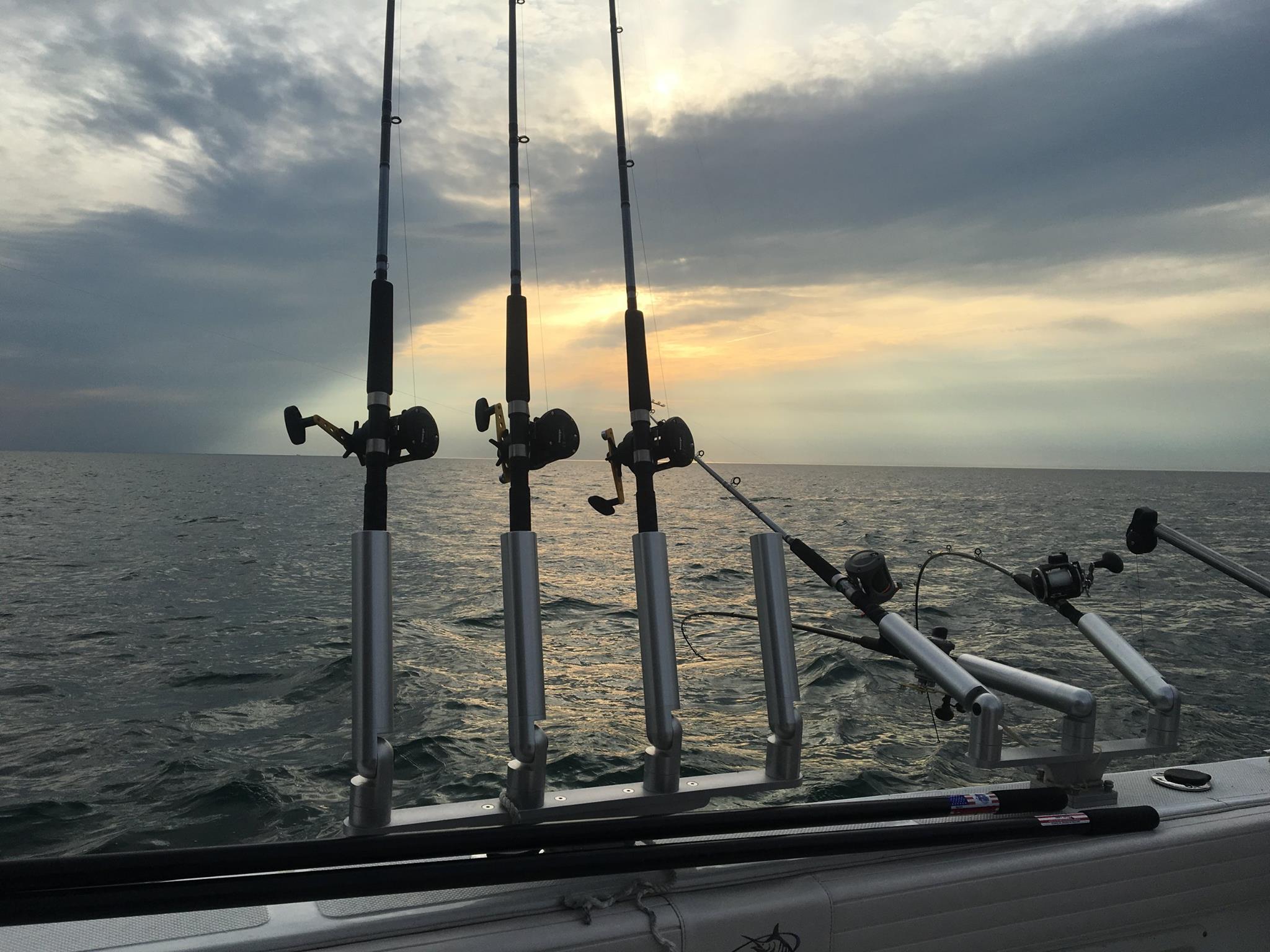 Quad Rod Holders